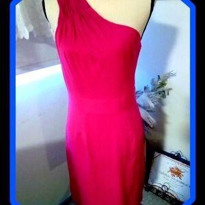NWYS Banana Republic Fuchsia Pleated  One Shoulder Dress